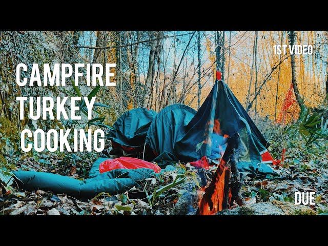 CAMPFIRE TURKEY COOKING |A Wilderness Feast | vlog 01 | ASMR