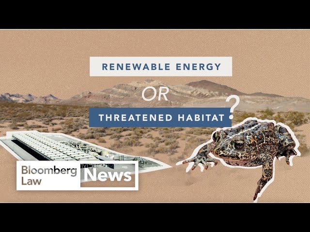 Rare Toads or Clean Energy? An Environmental Law Fight in Nevada