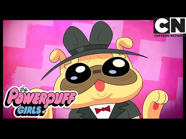 ADORABLE DOG in The Powerpuff Girls | HAPPY INTERNATIONAL DOG DAY! | Cartoon Network
