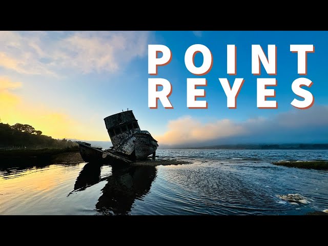 Point Reyes National Seashore: An Epic California Coastal Destination