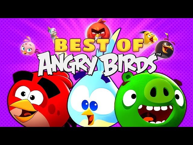 Best Of Angry Birds | Chapter 8