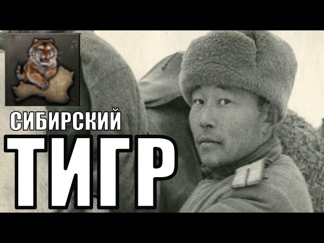 Тувинская Сибирь в HOI4 [Siberian Tiger]