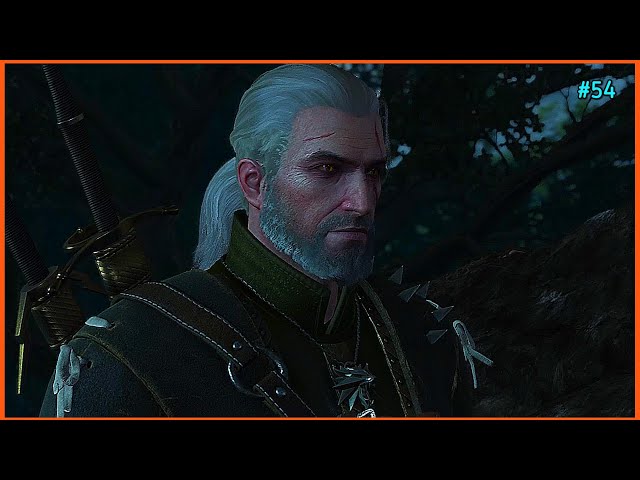 ONE OF THE FUNNIEST SIDE QUESTS 😂 - The Witcher 3 Next Gen Walkthrough Part 54