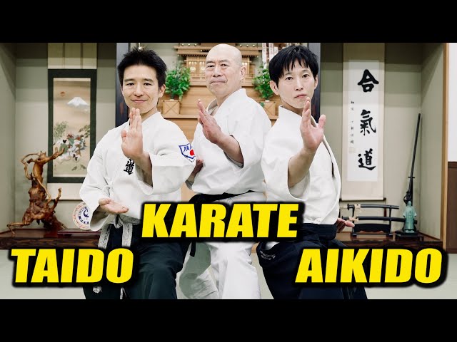 【Verification】What would happen if Aikido fought Karate or Taido? ＜Shirakawa Ryuji＞