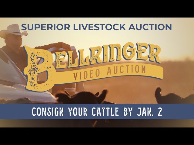 2023 Bellringer Video Auction Heads back to Oklahoma City