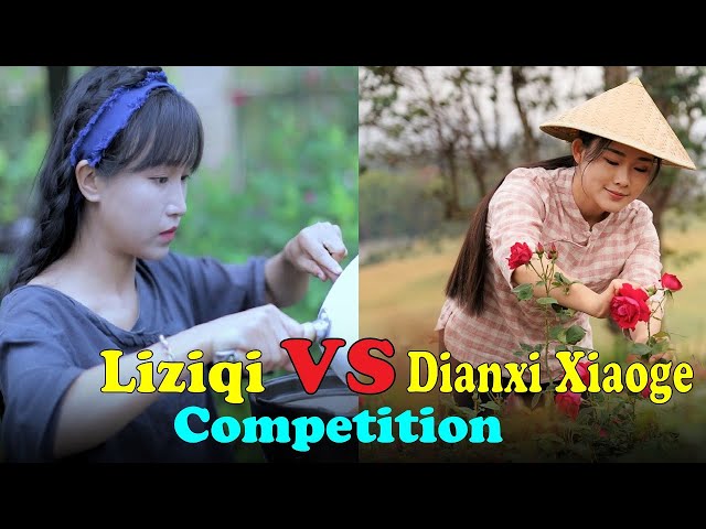 Li Ziqi VS Dianxi Xiaoge Painful Life Story || You Don't Know