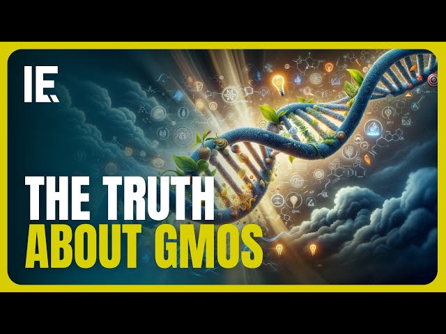 🍃 GMOs and the Future of Food: MYTHS vs SCIENCE