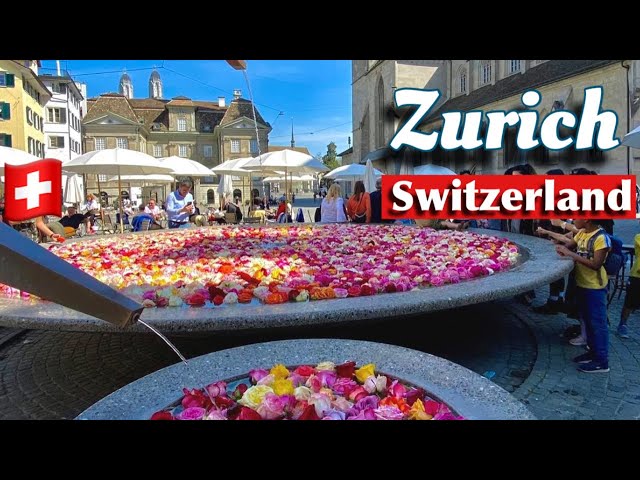 Floating Roses in Zurich City , Switzerland 4K - Rose Filled Fountains ! Summer Vibes - Zurich Lake