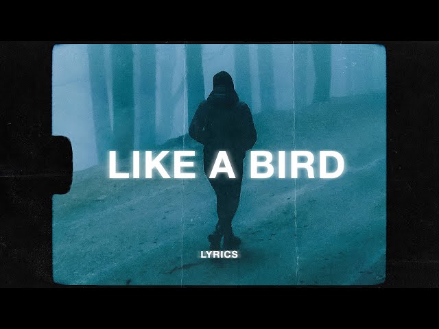 Imfinenow - Just Like A Bird (Lyrics) ft. Solace.