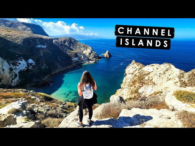CHANNEL ISLANDS NATIONAL PARK in ONE DAY | Best Hike on Santa Cruz Island