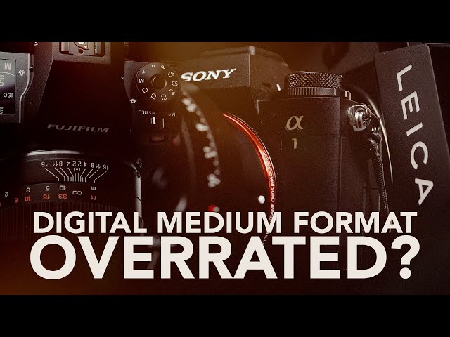 Is Medium Format Overrated? | Fujifilm GFX vs Sony A1 vs Leica SL2