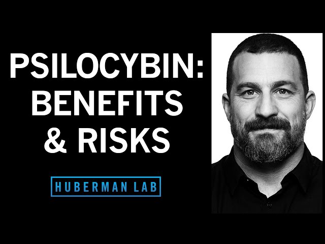 How Psilocybin Can Rewire Our Brain, Its Therapeutic Benefits & Its Risks | Huberman Lab Podcast