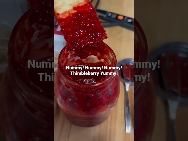 Nummy! Nummy! Nummy! Thimbleberry Yummy!!!