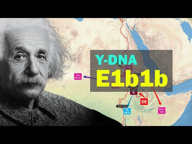Origin and spread of E1b1b, the paternal DNA to which Einstein belongs