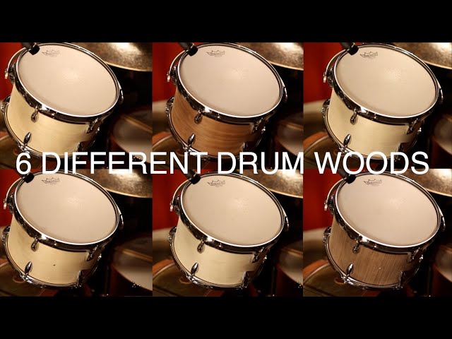 Birch vs Maple vs Mahogany vs Poplar vs Walnut in a 12x8 tom drum. - Wood configuration comparison.