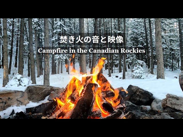 2 hours of Soothing Winter Bonfire Sounds for Relaxation & Better Sleep | Canadian Rockies Forest