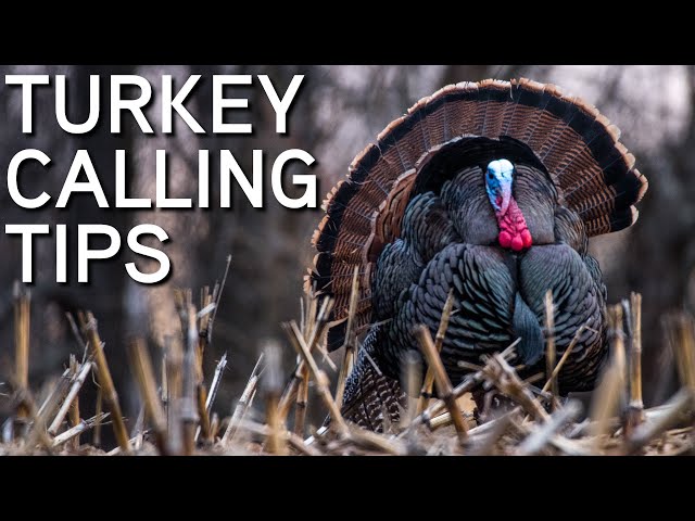 TURKEY CALLING TIPS | Friction Calls For Beginners (Pot/Slate Calls)