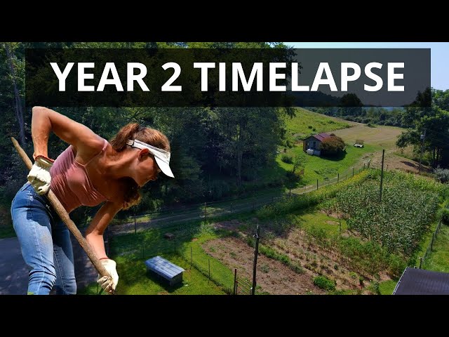 2nd Year Homesteading in the Mountains - TIMELAPSE - Ep. 177