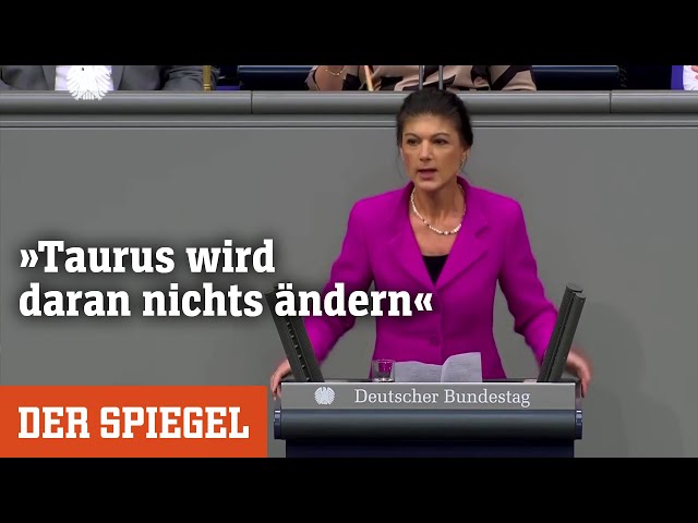 Taurus-Abstimmung im Bundestag: »Deutschland würde zur Kriegspartei werden« | DER SPIEGEL