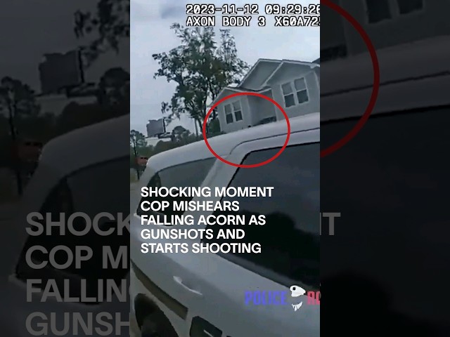 Shocking Moment Cop Mishears Falling Acorn As Gunshots and Starts Shooting #shorts