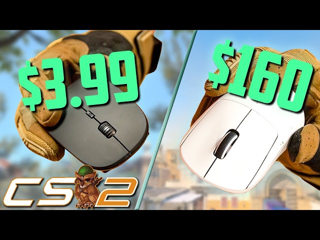 $100 Budget Gaming Setup in Counter Strike 2
