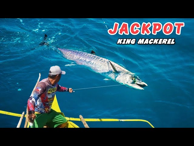 BIG KING MACKEREL (TANGIGUE)!!HANDLINEFISHING PHILIPPINES!! Jackpot King Mackerel!