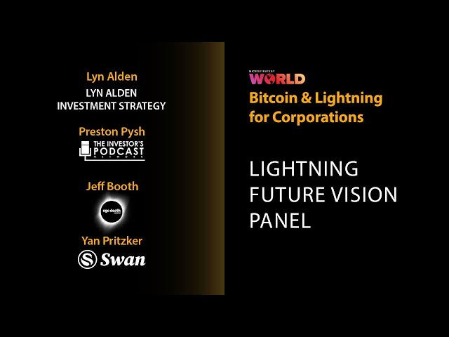 Lightning Future Vision Panel Discussion