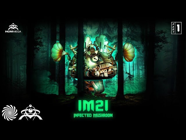 Infected Mushroom - Suliman (No Comment Remix)