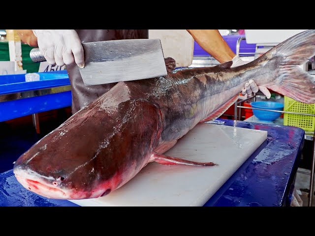 Amazing skill！Giant Catfish Cutting Skills, Thai Spice Fried Catfish / 驚奇的巨大鯰魚切割技巧, 泰式香料煎魚排 - 海鮮美食