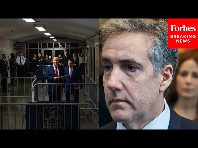 Lawyer Who's Gone Up Against Trump's Team Gives Blunt Take On Michael Cohen