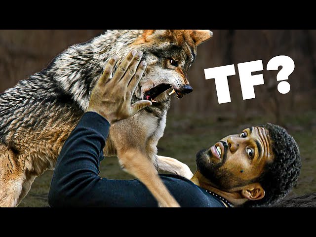 This NFL Player Said He Could Fight a Wolf