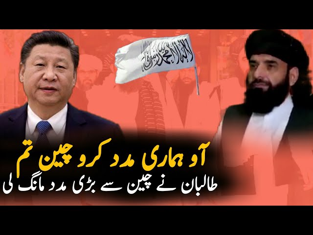Afghan T Message For China and Xi Jinping | Afghanistan | Technology | Pakistan Afghanistan News