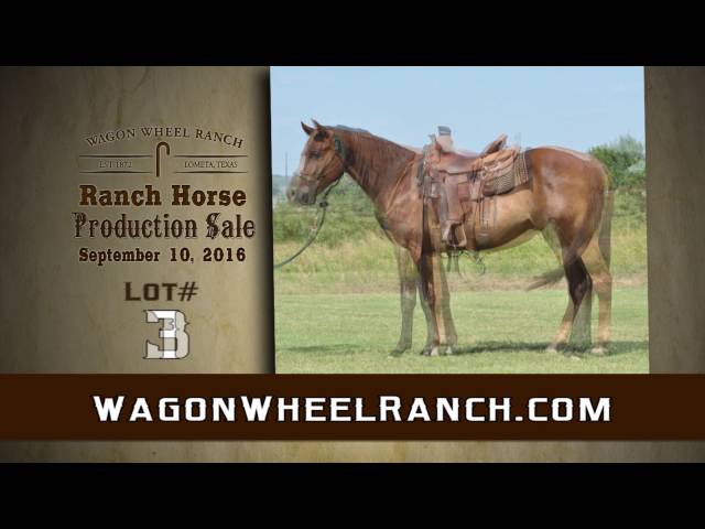 Wagon Wheel Ranch