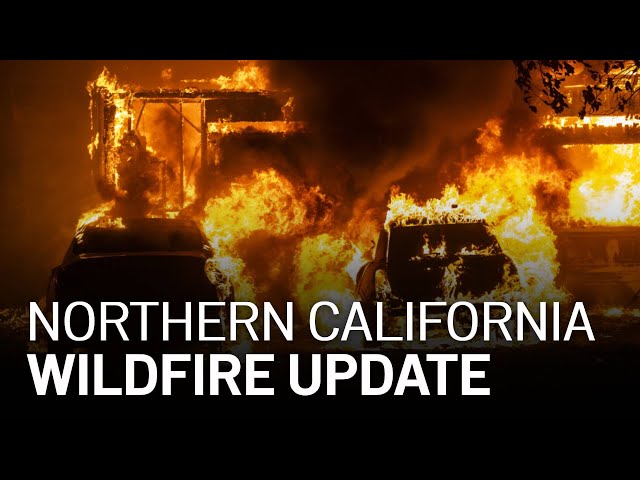 LIVE: Updates on California Wildfires, Evacuations [8/20 4 PM]