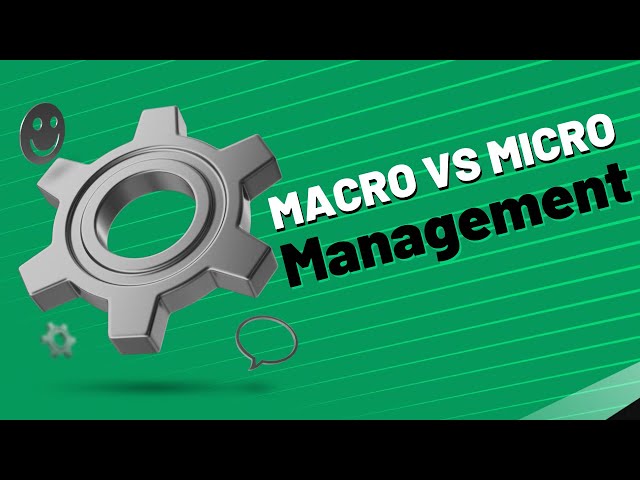 Macro vs Micro Management AKA Business vs Personal Project Management
