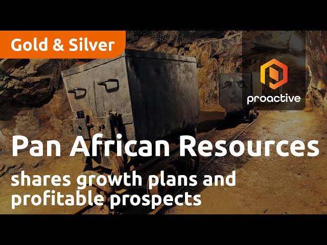 Pan African Resources CEO shares growth plans and profitable prospects in gold mining industry