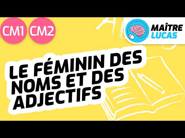 Le féminin des noms et des adjectifs CM1 - CM2 - Cycle 3 - Français - Orthographe