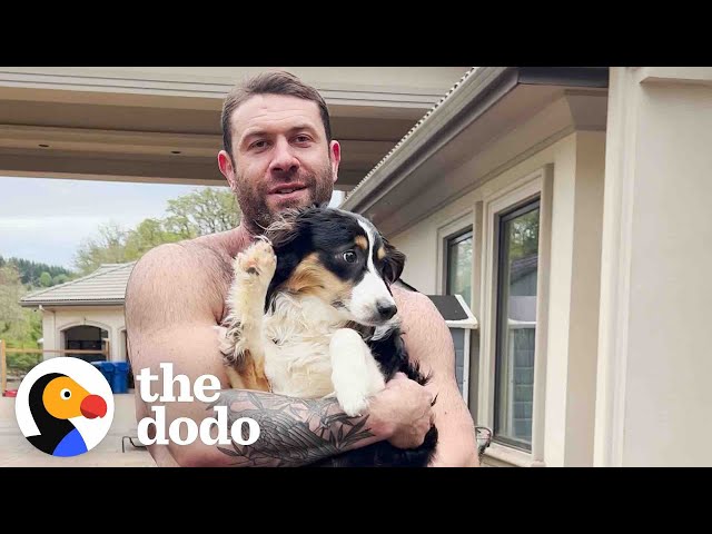 Terrified Aussie Puppy Melts Into Her New Dad's Arms | The Dodo
