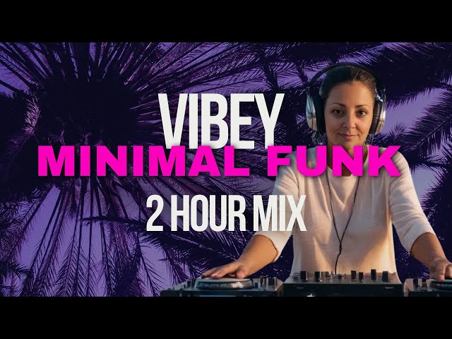 2 Hours of House Music to Vibe and Party To | 2024 DJ Mix