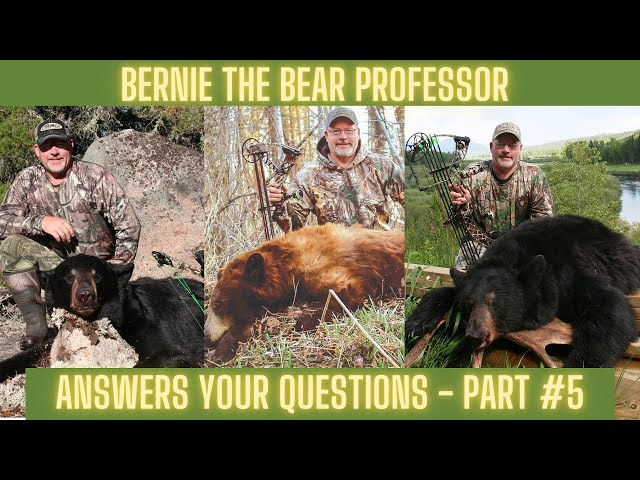 Bernie Answers your Bear Hunting Questions Part #5