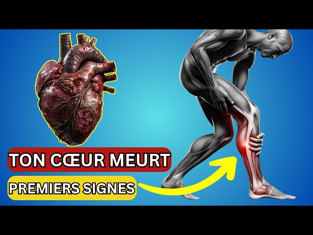 12 Signes Insoupçonnés Que Votre Coeur 💔 Est en Danger ⚠️ (Agissez Vite!) | Santé et Nutrition