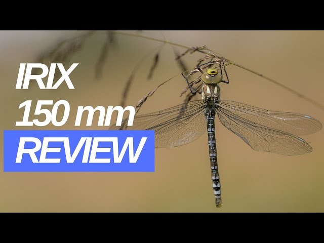 Gear Review; The IRIX 150 mm Macro lens