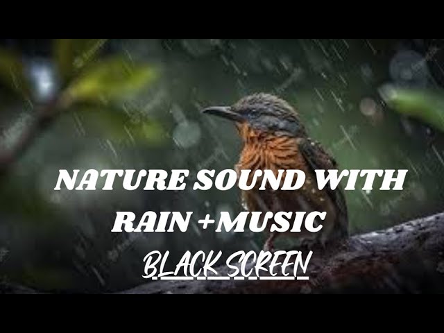 Relaxing Nature Sound with Music & Rain for Deep Sleep | Black Screen
