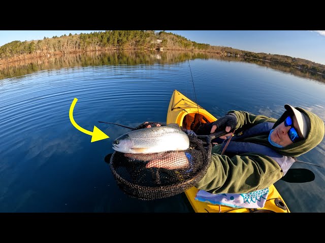 3 Mornings of Trout Fishing | Easy Catch & Cook!