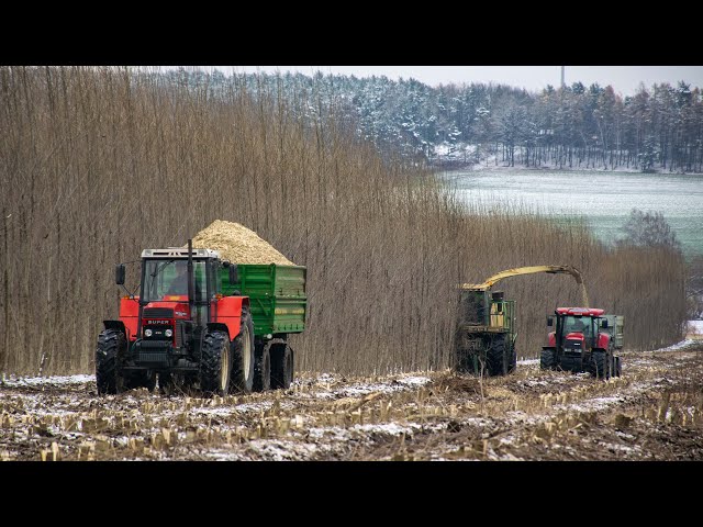 Poplar harvest/ Topoly 2018- Krone Big X 650, Zetor 16245, Case 160 CVX