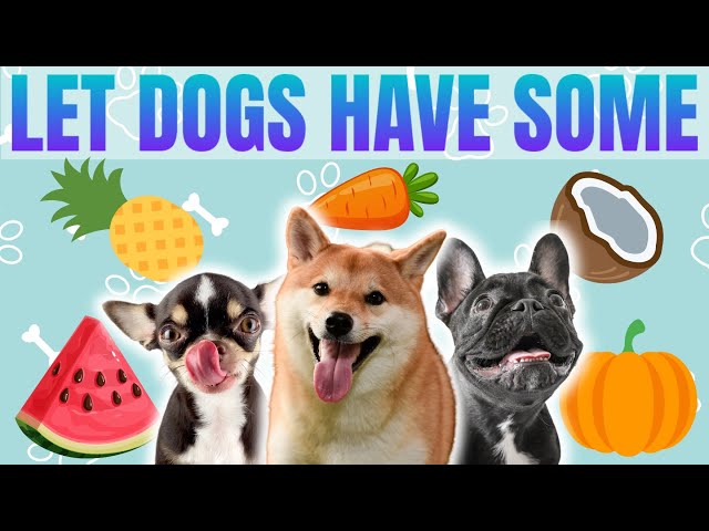🐶❤️Human Foods that Are Good for Dogs!! Dog nutrition