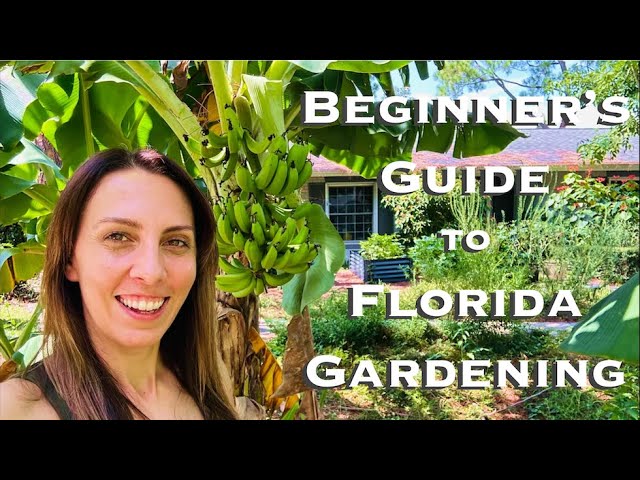 A Beginner's Guide to Florida Gardening