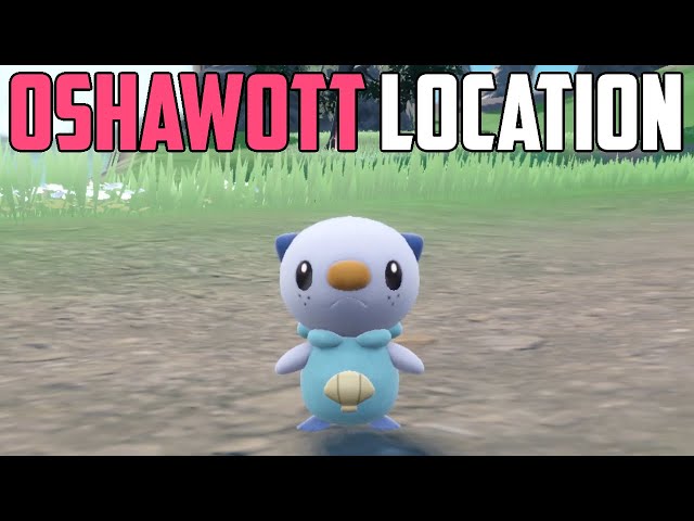 How to Catch Oshawott - Pokémon Scarlet & Violet (DLC)