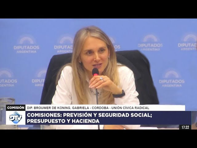 COMISIÓN EN VIVO: PLENARIO | 15 de mayo de 2024 - Diputados Argentina