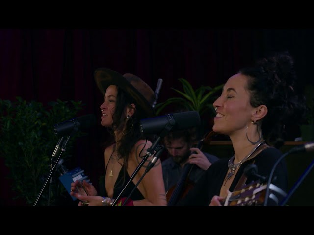 Rising Appalachia - Synchronicity / The Monk's Jig (from Dec 15, 2020 Livestream)